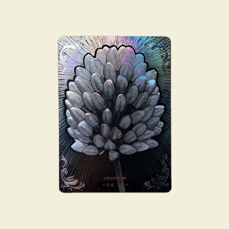 Rise TCG - Prestige 2025 - Fleur du tréfle de Lumiere Numérotée 04/20