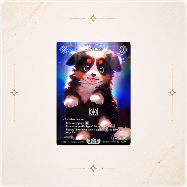 Rise TCG Storm